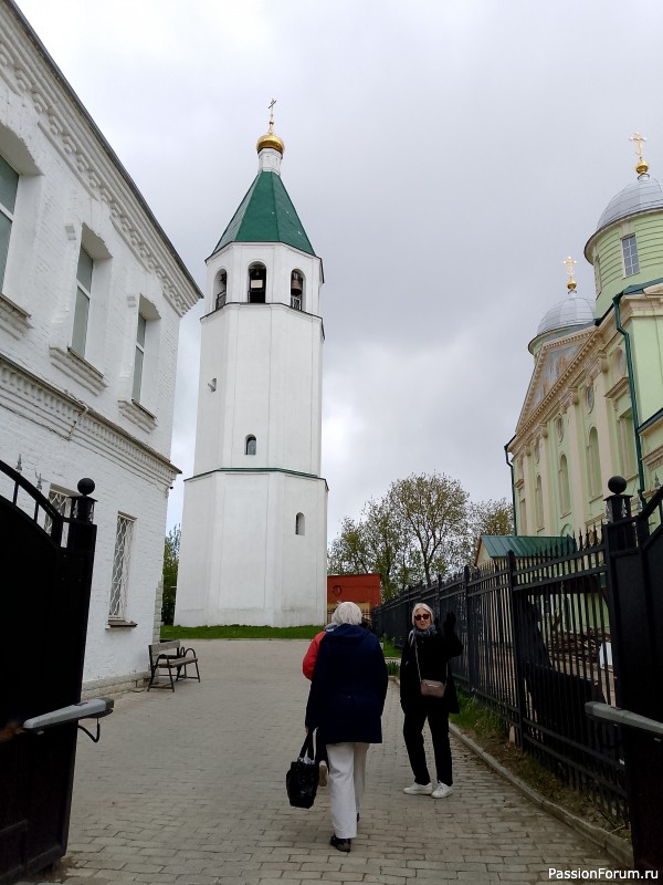 Поездка в Клин хомяков путешественников...