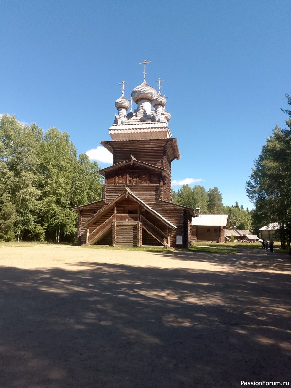 Хомяки путешественники. Поездка в Архангельск малым составом.