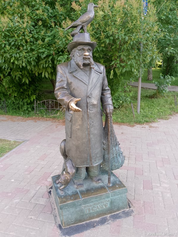 Хомяки путешественники. Поездка в Архангельск малым составом.