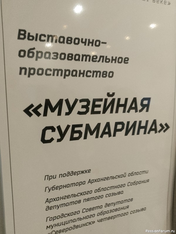 Хомяки путешественники. Поездка в Архангельск малым составом.