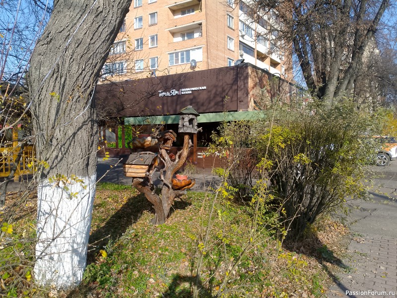Подольск - город нереализованных возможностей и кладезь креатива))