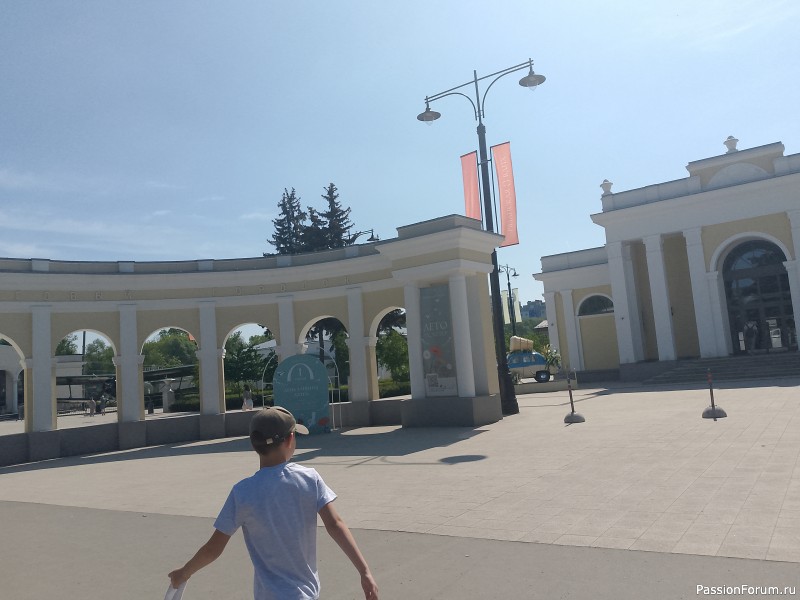 Как хомяки ходили за грибами, которые с глазами
