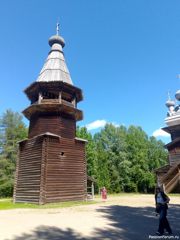 Хомяки путешественники. Поездка в Архангельск малым составом.