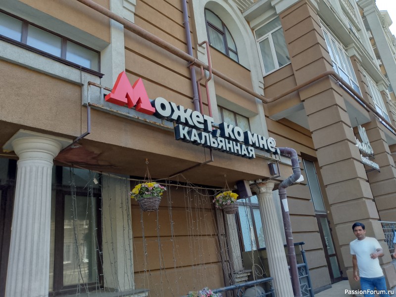 Как хомяки ходили за грибами, которые с глазами