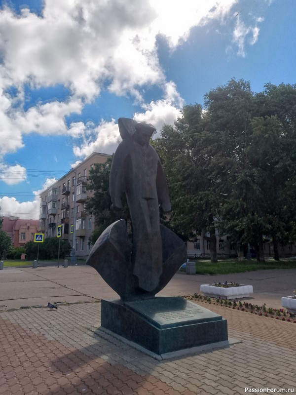 Хомяки путешественники. Поездка в Архангельск малым составом.