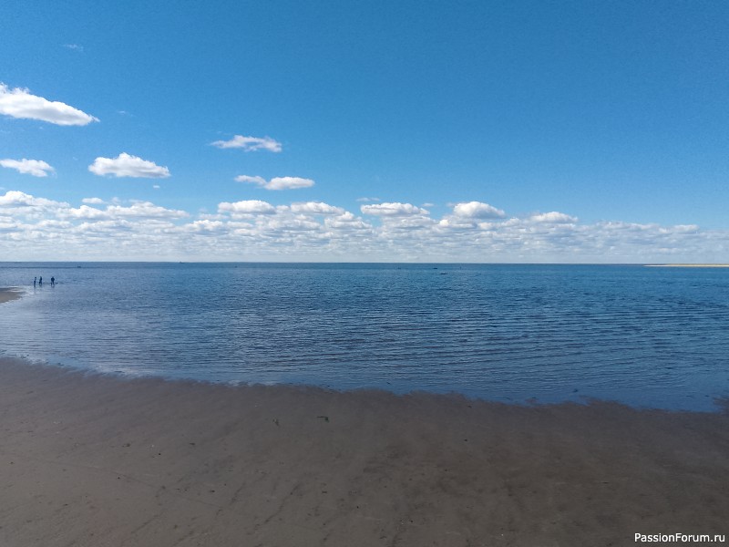 Хомяки путешественники. Поездка в Архангельск малым составом.