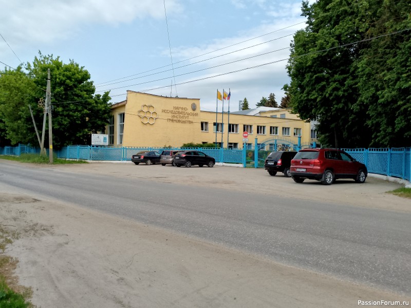 Как хомяки ходили за грибами, которые с глазами