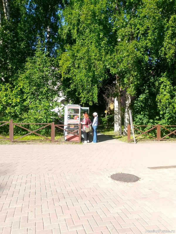 Хомяки путешественники. Поездка в Архангельск малым составом.