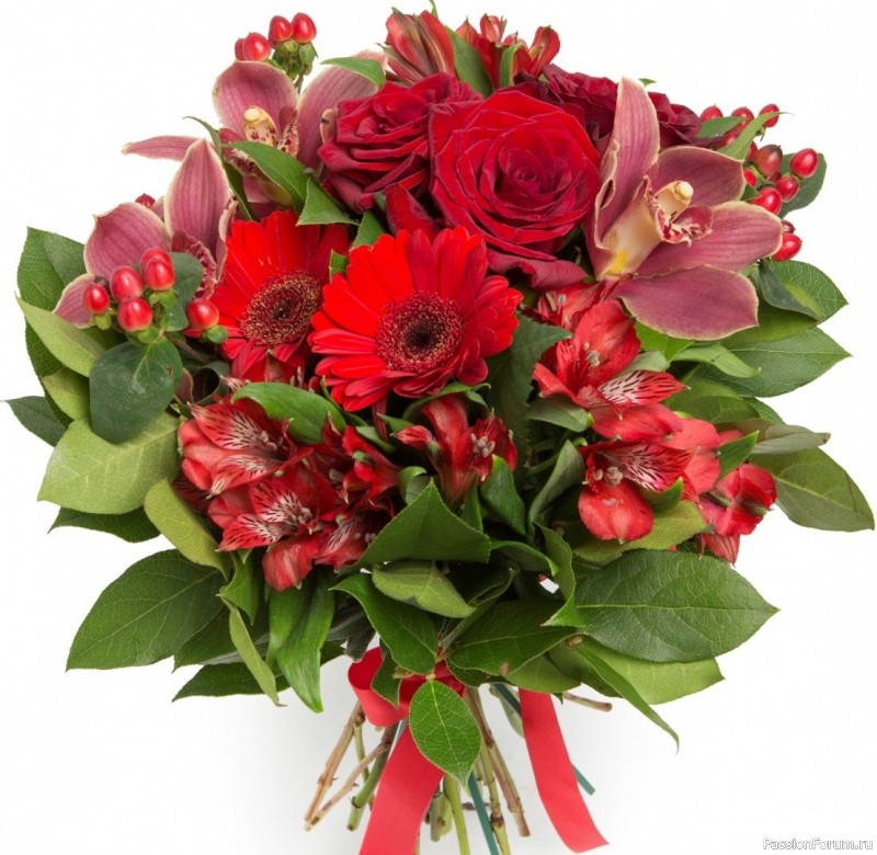 У Tasha День Рождение!