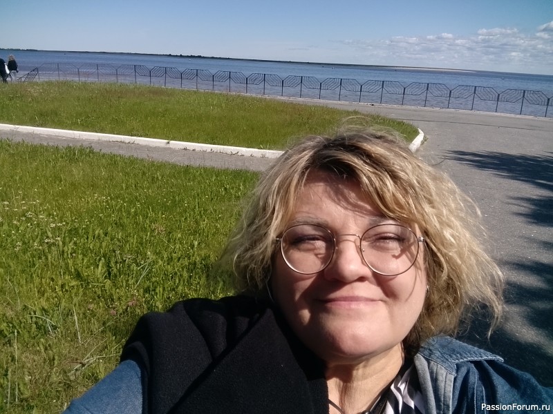 Хомяки путешественники. Поездка в Архангельск малым составом.