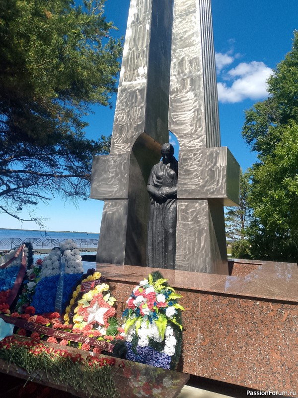 Хомяки путешественники. Поездка в Архангельск малым составом.