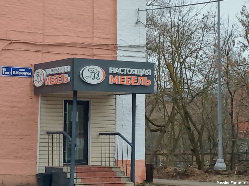 Город Святого Георгия-Егорьевск. Путешествия хомяков.