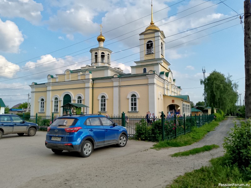 Как хомяки ходили за грибами, которые с глазами