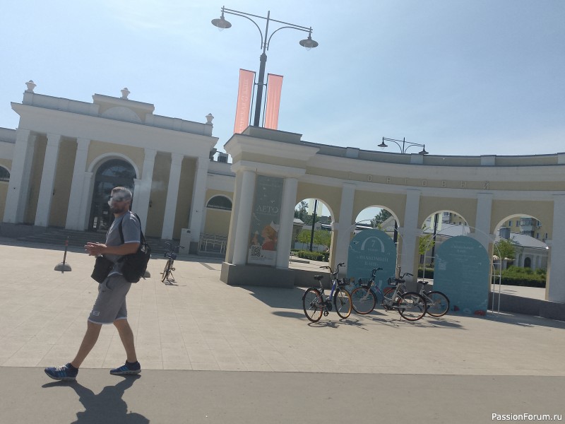 Как хомяки ходили за грибами, которые с глазами