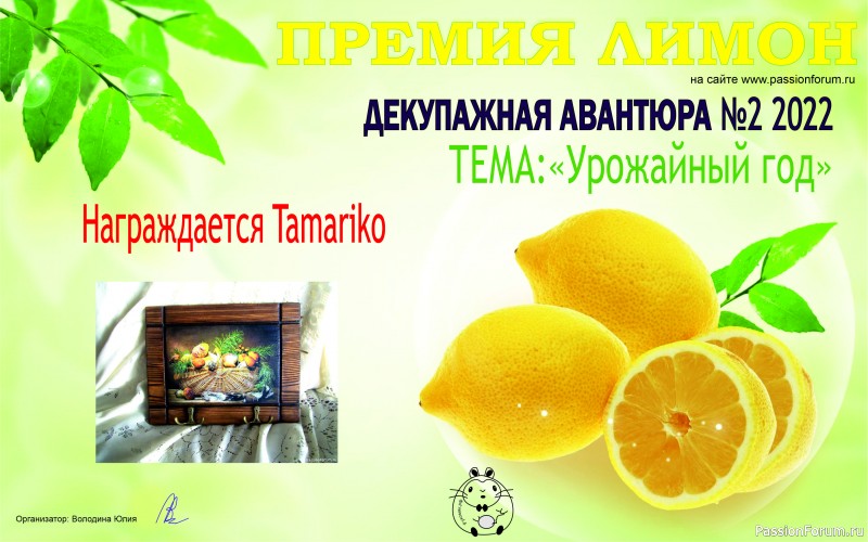 ИТОГИ! ДЕКУПАЖНАЯ АВАНТЮРА №2 2022. Тема &quot;Урожайный год&quot;