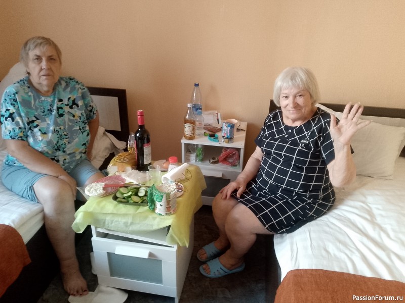 Хомяки путешественники. Поездка в Архангельск малым составом.
