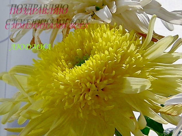 Поздравляем всех Людочек нашего сайта!!!