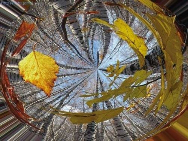 Для тех , кто любит осень и стихи .осенние