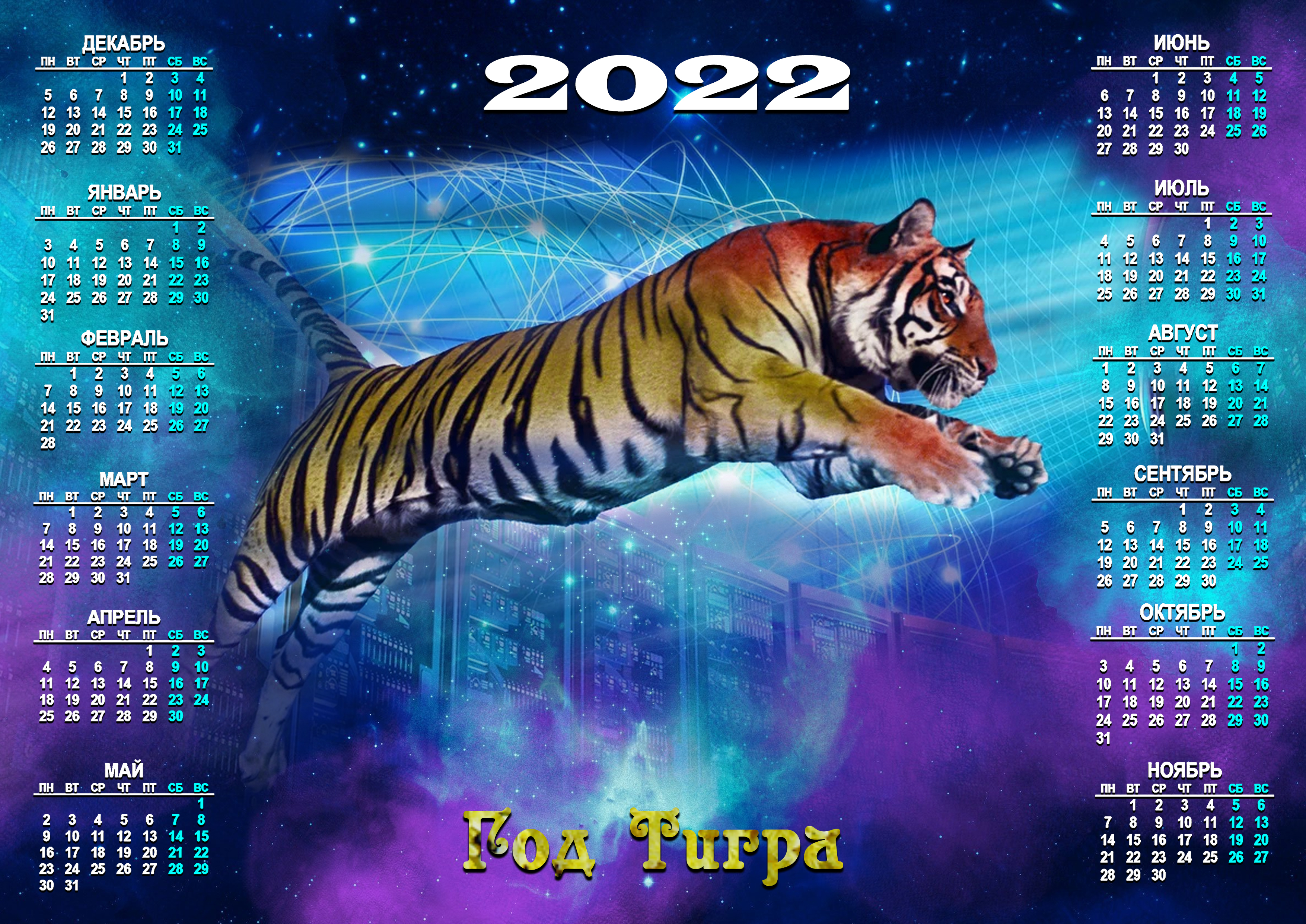 2023 год кого картинки