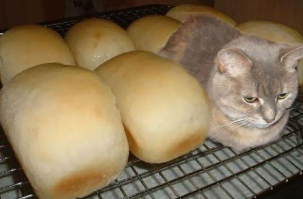 Еще о маскировке