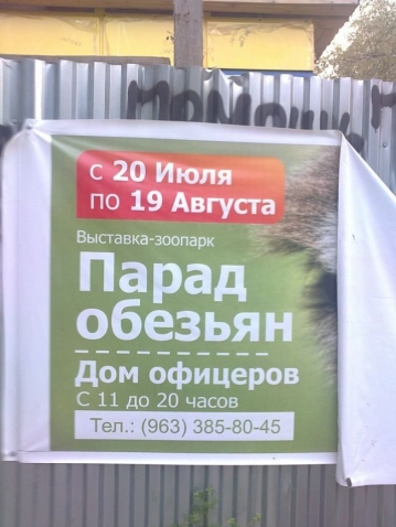 Неделя должна начинаться с позитива!