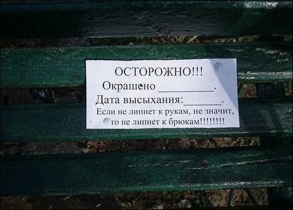 Неделя должна начинаться с позитива!