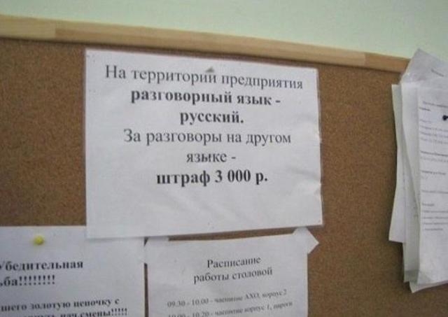 Неделя должна начинаться с позитива!