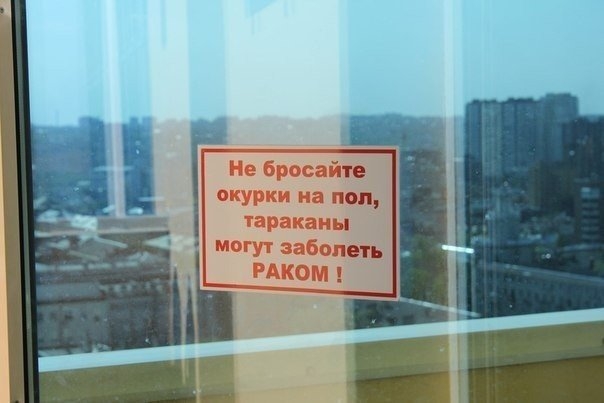 Неделя должна начинаться с позитива!