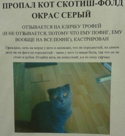 Неделя должна начинаться с позитива!