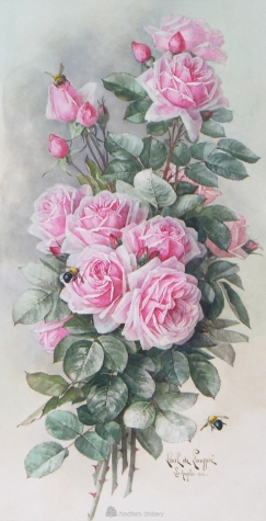 Розы