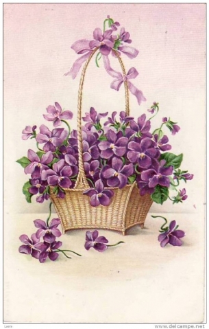 Фиалки.