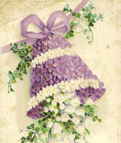 Фиалки.