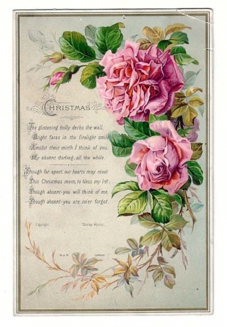 Розы