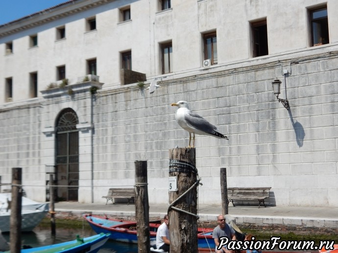 Кьоджа, вторая столица Венецианской лагуны