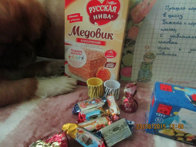 К нам приехал подарок для внучки.