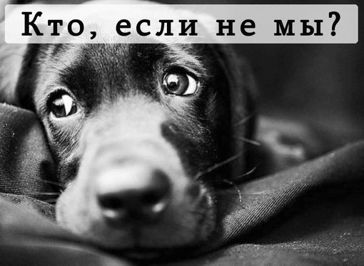 Добро не умирает...