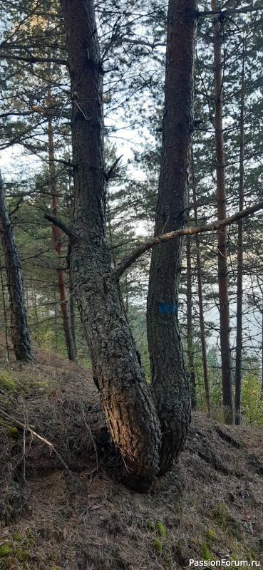Фотозарисовки &quot;Краски Эстонской природы&quot;