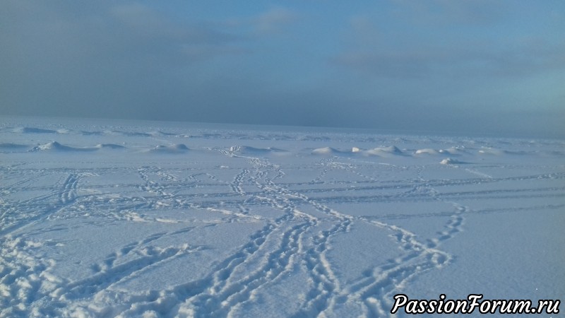 Снег...Снег...и на моей работе и в природе...