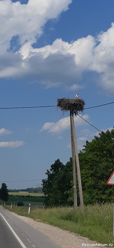 Фотозарисовки &quot;Краски Эстонской природы&quot;