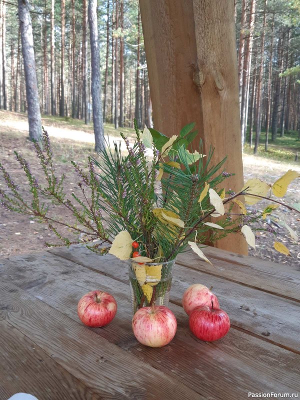 Фотозарисовки &quot;Краски Эстонской природы&quot;