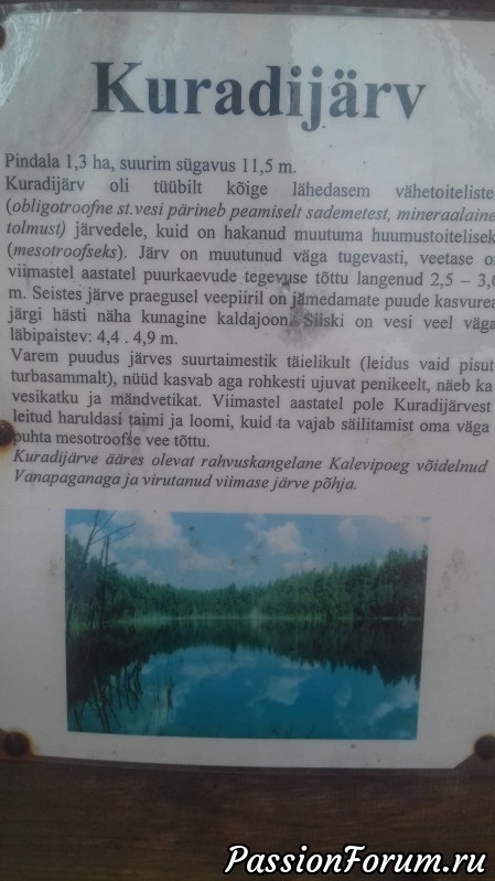 Всех с началом осени или....Открытие грибного сезона удалось!!!
