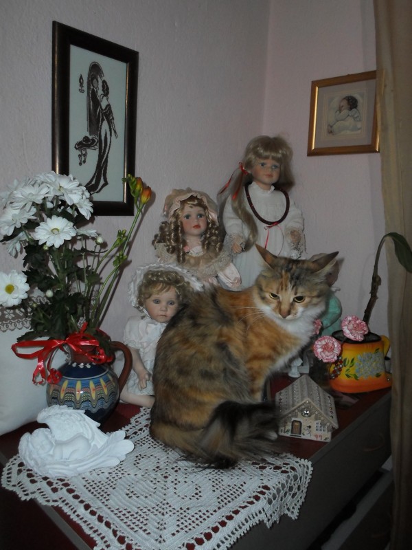 Отчитываюсь))