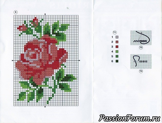 Розы для прекрасных дам!