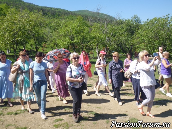 Шестой день слёта в Тбилиси!