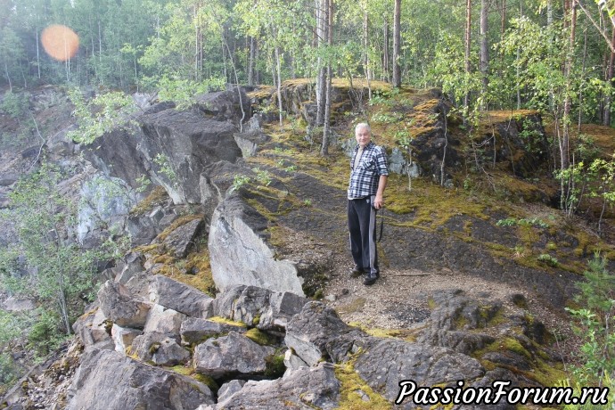 Утро в шведском лесу или край, где я живу.