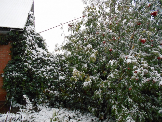 Промозглая красота.