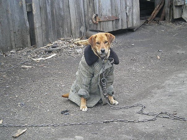 Доброе время суток, давайте улыбнемся