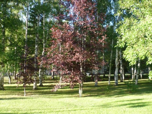 Прогулка по красивому городу Ханты-Мансийску с подругой. часть 2 Прогулка по красивому городу Ханты-Мансийску с подругой. часть 2