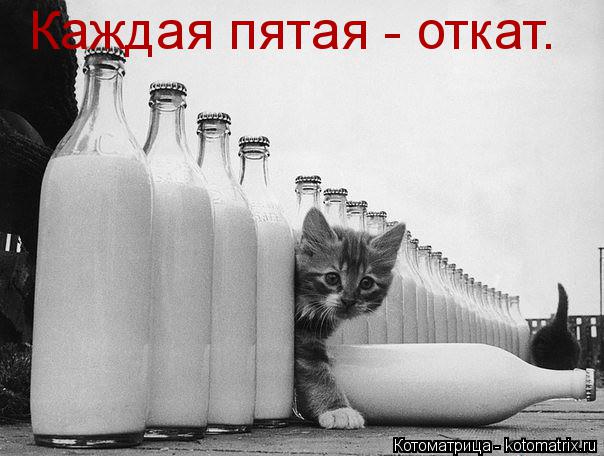 Котоматрица