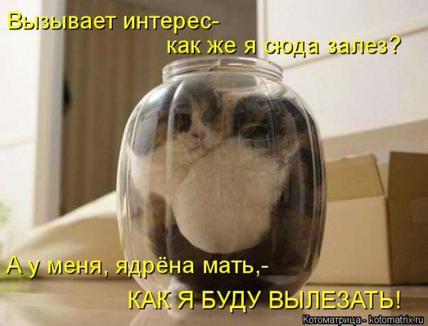 Котоматрица